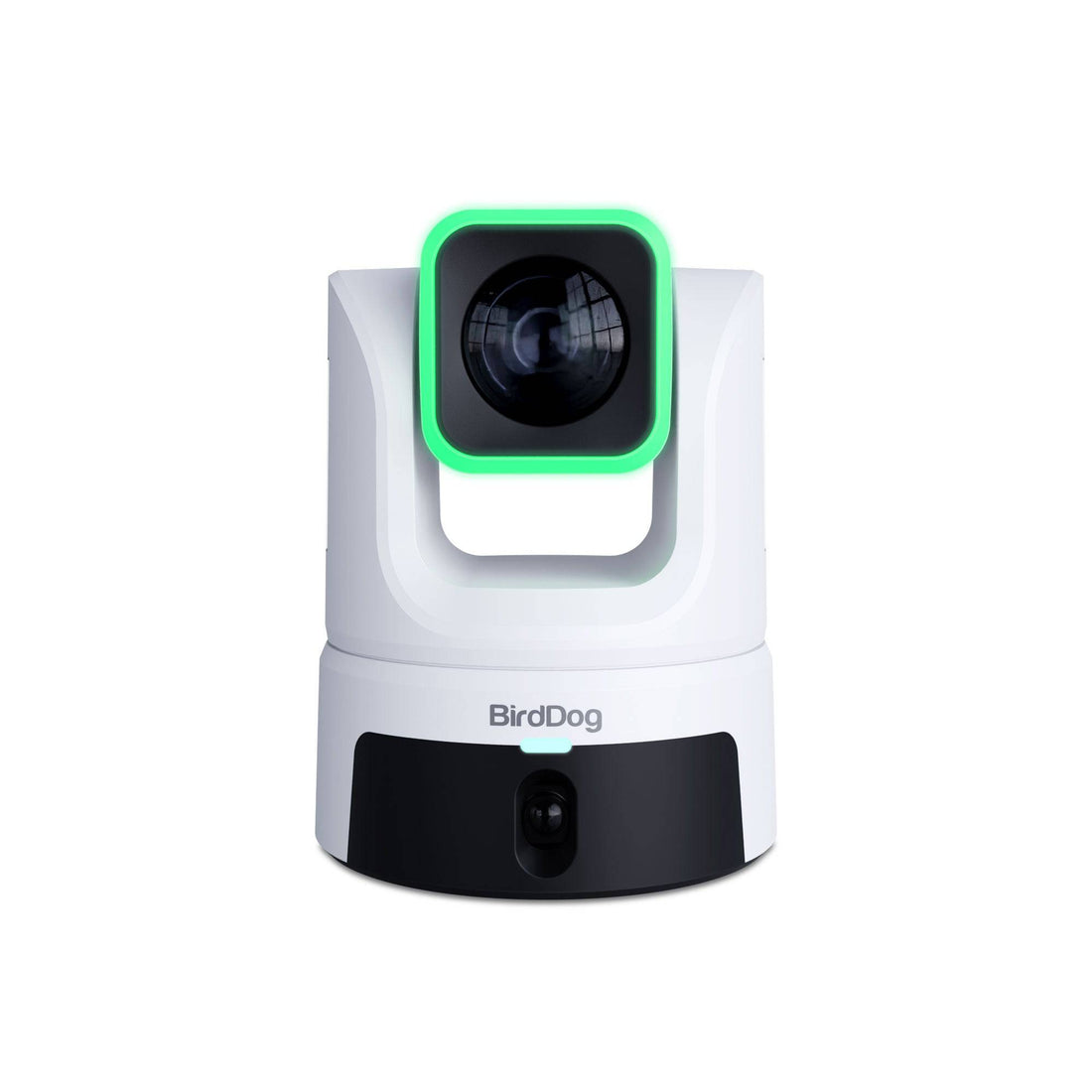 BirdDog XL Ultra White Front – image 2
