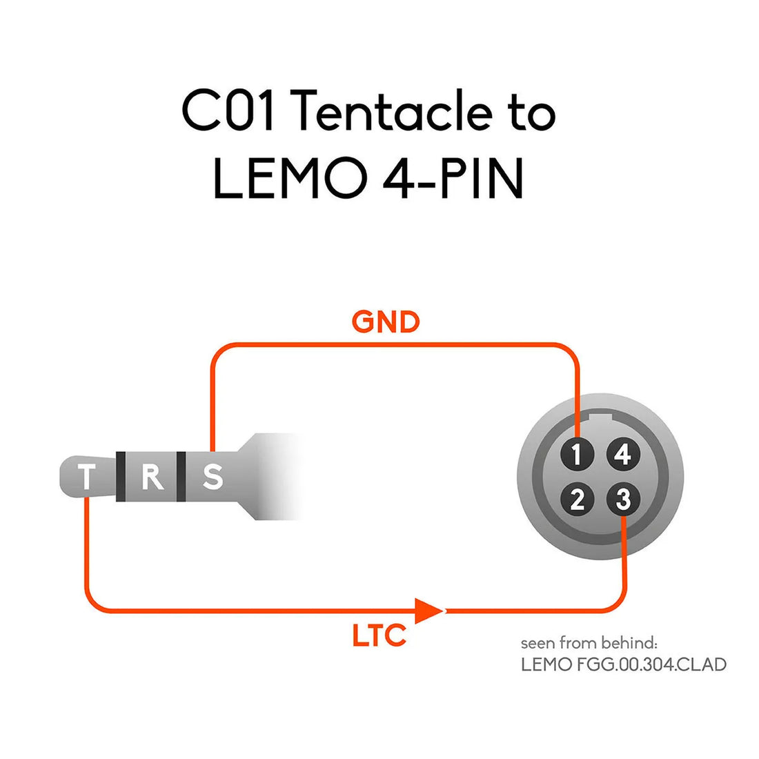 Tentacle Sync C01 RED 16-inch timecode cable with 3.5mm to 4-pin LEMO connector for professional audio and video synchronization. – image 5