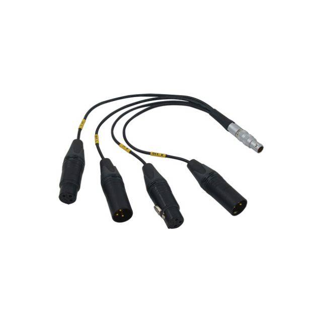 Bolin Technology BLA-10 10-pin LEMO to XLR breakout cable showing connector ends and cable details. – image 1