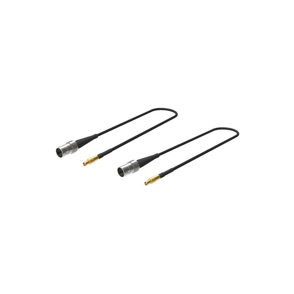 Magewell Eco Capture Dual SDI M.2 Card