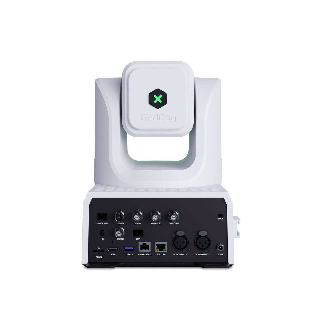 BirdDog XL Ultra White Back with Input and Output – image 4