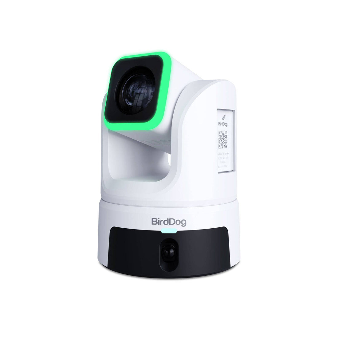 BirdDog XL Ultra White Titled – image 5