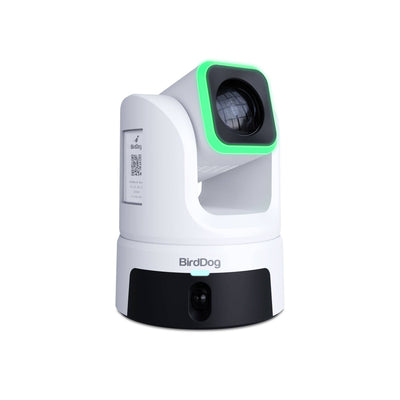 BirdDog XL Ultra White Right Angle Shot