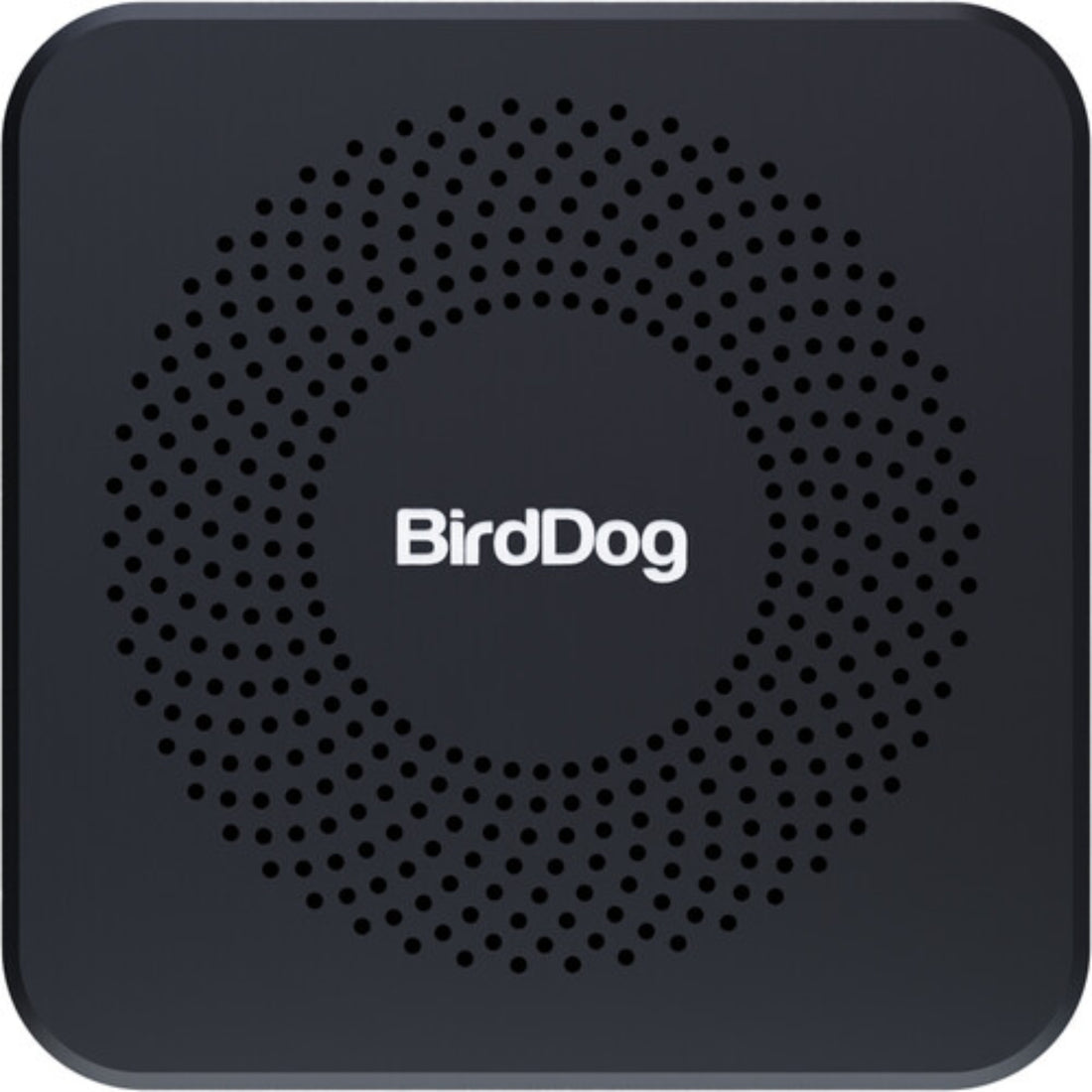 BirdDog PLAY Pro 4K NDI Player signal converter with minimal design, top view showing branding and connection ports. – image 6