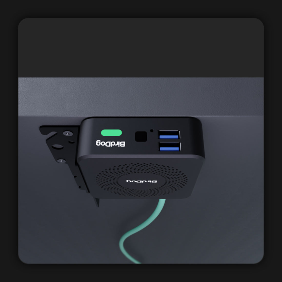 BirdDog PLAY Pro 4K NDI Player signal converter mounted with cable routing and installation setup. – image 11