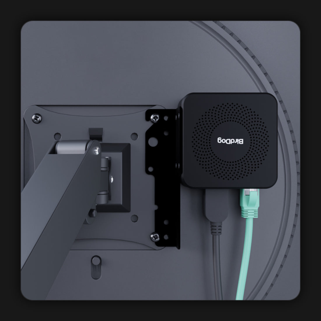 BirdDog PLAY Pro 4K NDI Player signal converter mounted on VESA with 100mm pattern, shown from rear view. – image 10