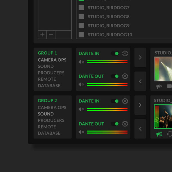 BirdDog NDI Bridge ( Group, Dante In, Dante Out) – image 2