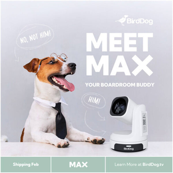 BirdDog MAX UHD 4K Conferencing & Production PTZ Camera (White) Full Size – image 7