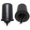 LIVEU ANT00061