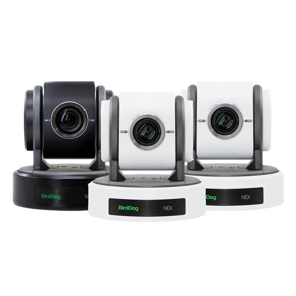 BirdDog Eyes P100 PTZ Bundle with 3 x NDI Cameras (2x White, 1x Black) - Coremicro – image 1