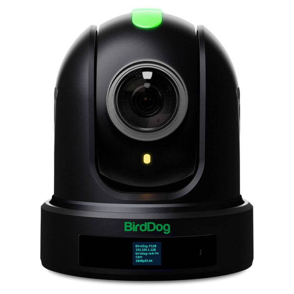 BirdDog P110 10x Full NDI PTZ Camera (Black) - Coremicro – image 1