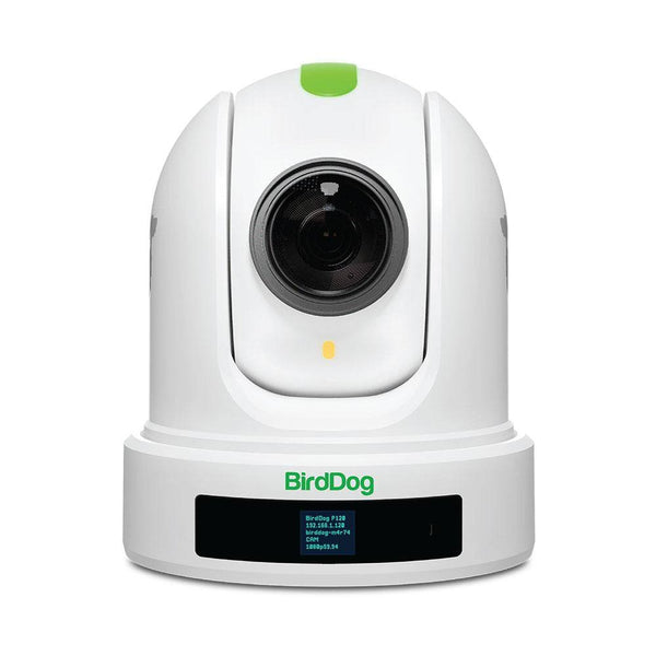 BirdDog P120 20x Full NDI PTZ Camera (White) - Coremicro – image 1