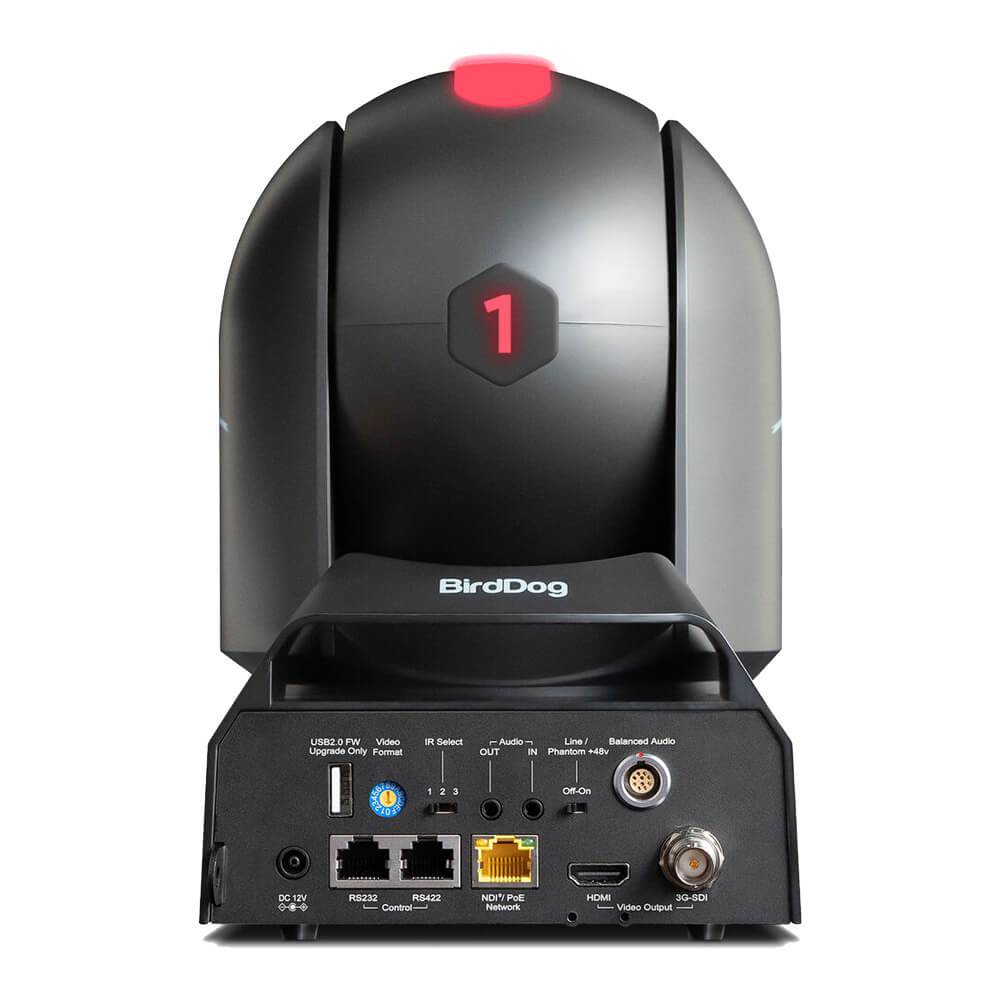 Rear view of BirdDog 3x P240 PTZ cameras in black with PTZ cables, bundled with NETGEAR GSM4212UX switch. – image 3