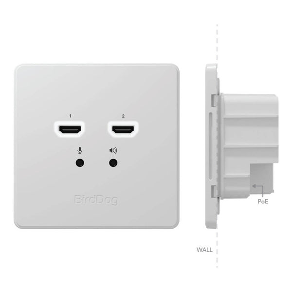 BirdDog Wallplate Dual Input - Coremicro – image 4