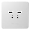 BirdDog Wallplate Dual Output - Coremicro