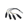 Bolin Technology BLA-10 10-pin LEMO to XLR breakout cable showing connector ends and cable details.