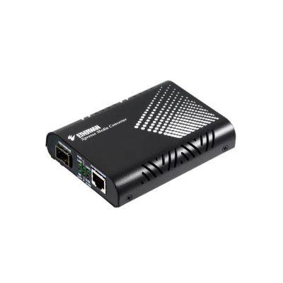 EtherWAN 10/100/1000BASE-TX to 100/1000BASE-X Dual Rate SFP Media Converter - Coremicro – image 1