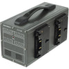 GEN ENERGY 4-Channel Simultaneous Gold Mount Charger (3.5A) - Coremicro