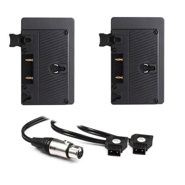 Hive Lighting Hornet 200-C Dual Gold-Mount Battery Plate Kit W/Y Cable - Coremicro – image 1