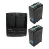 IDX System MC-2U98 PD battery kit with two Sony SB-U98 batteries and charger for professional video cameras