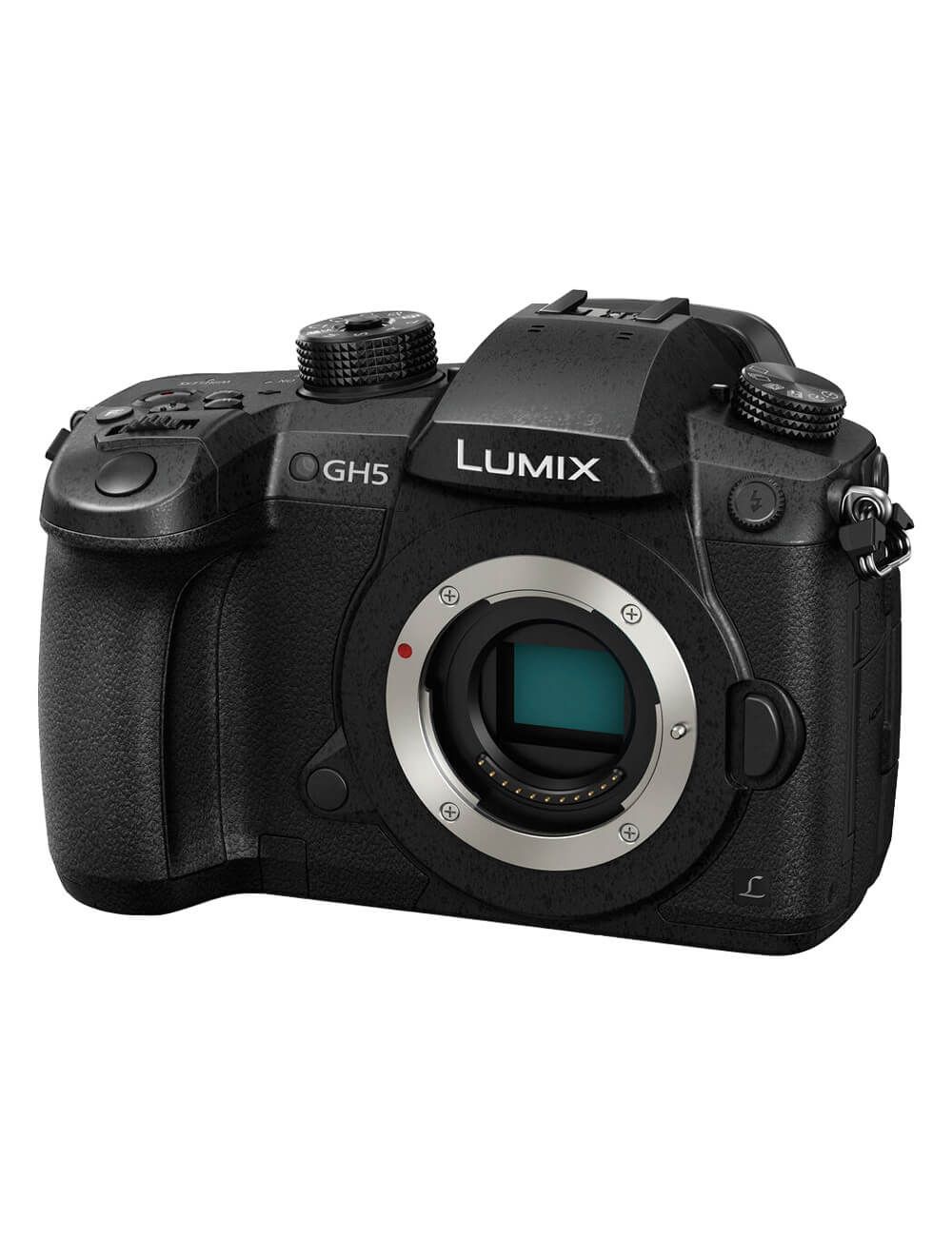 beneden bezig wapen Panasonic Lumix DC-GH5 4K Mirrorless MFT Digital Camera (Body Only)