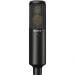 Sony C-100 High-Resolution Two-Way Condenser Microphone