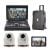 Datavideo HS-6000T MK II Mobile Studio With 2x PTZ Camera (White)