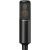 Sony C-100 High-Resolution Two-Way Condenser Microphone