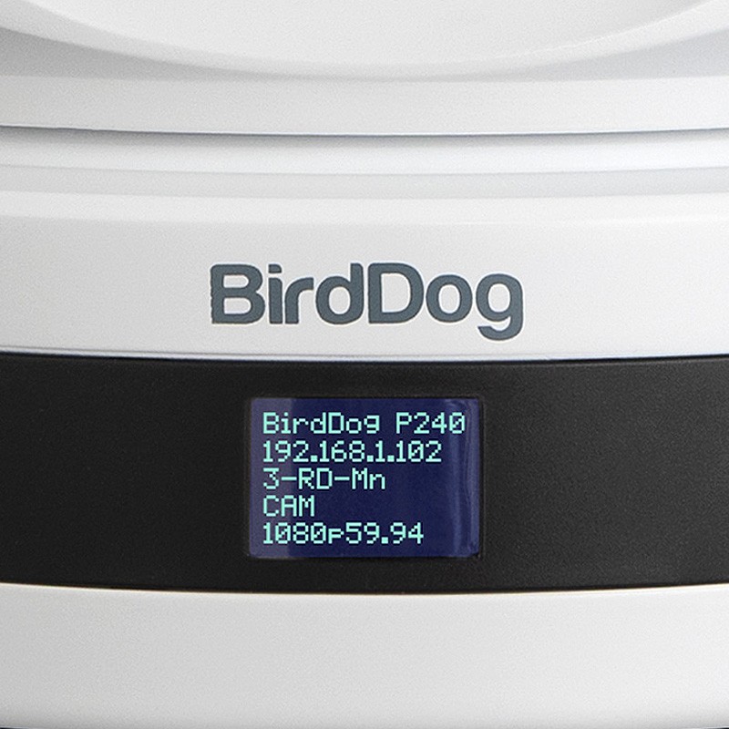 BirdDog P240 OLED Display.